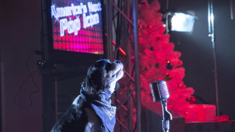Pop Star Puppy backdrop 1