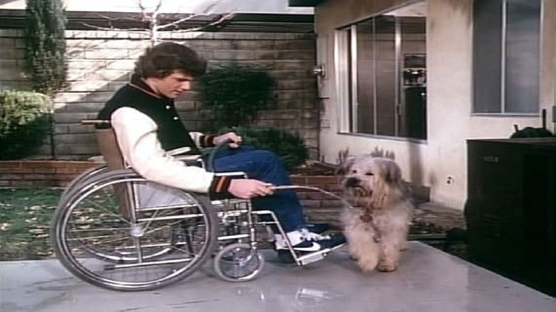 Boomer and the bucketeers