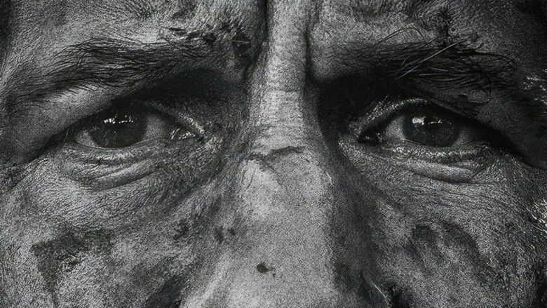 The Punisher: One Last Kill