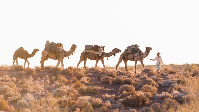 Tracks - Attraverso il deserto