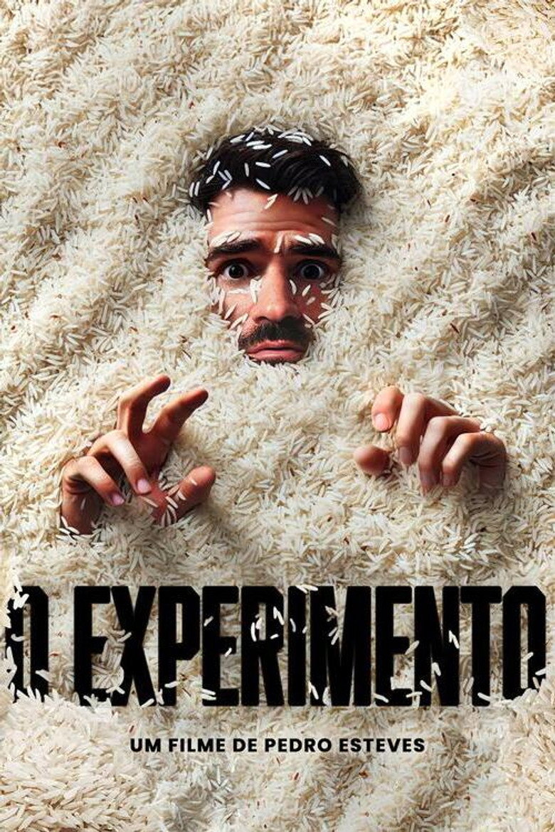 O Experimento