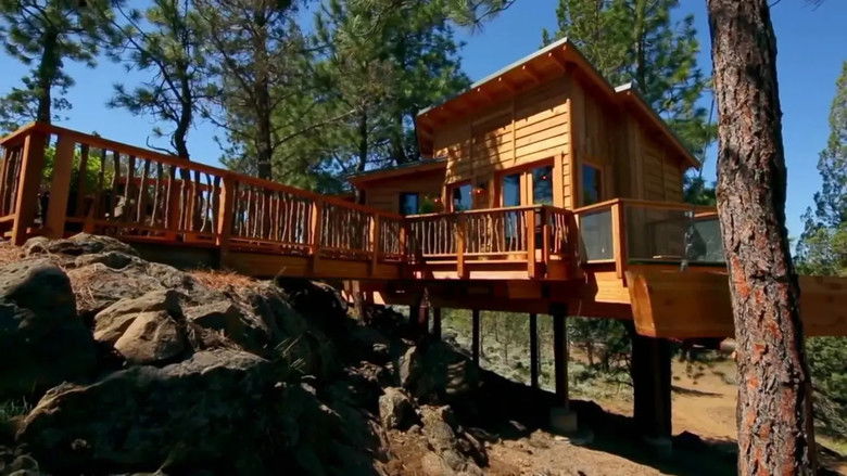 Never Too Old for a Treehouse