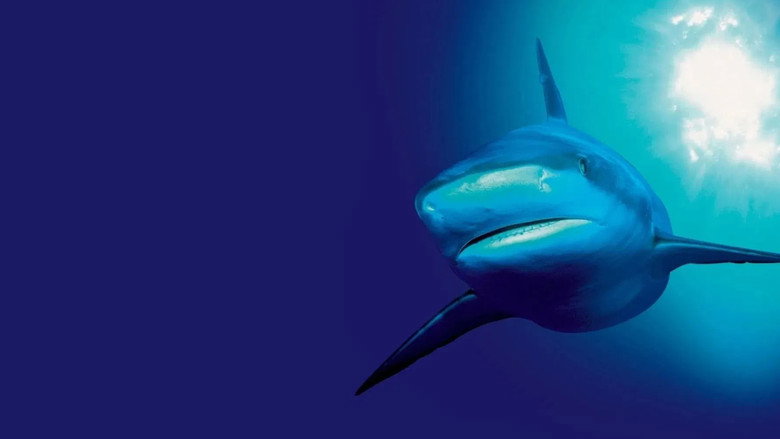 The Blue Planet backdrop 3