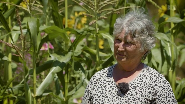 An organic garden