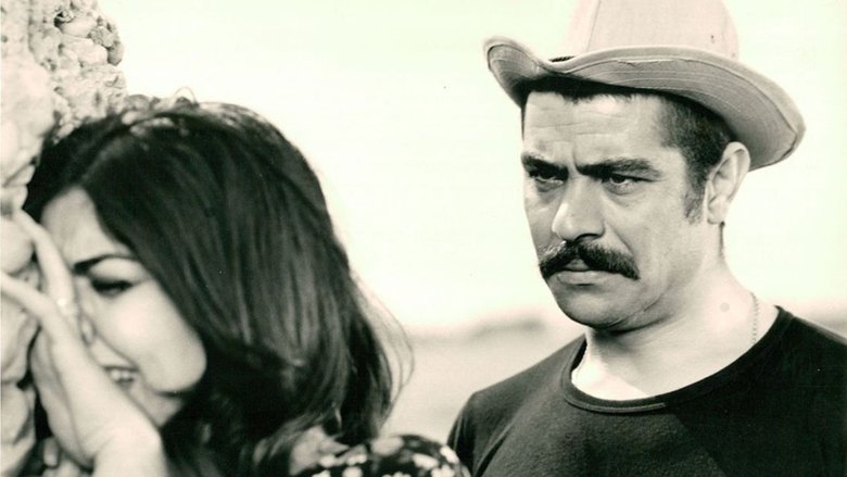 Iraj Safdari
