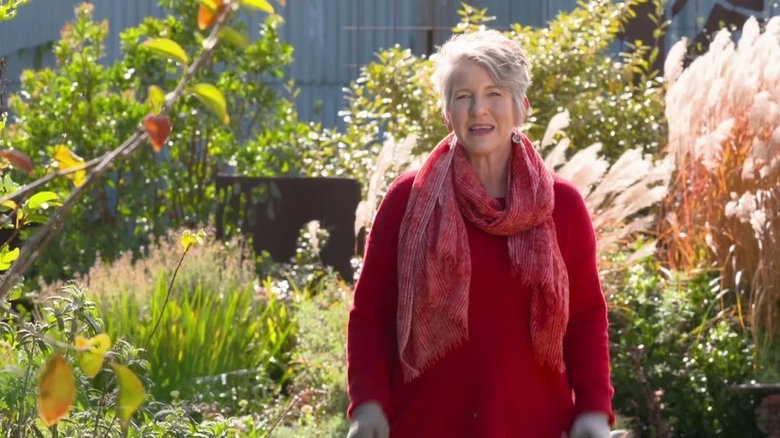 Episode 10 Bromeliads, Container Combos & Spider Love