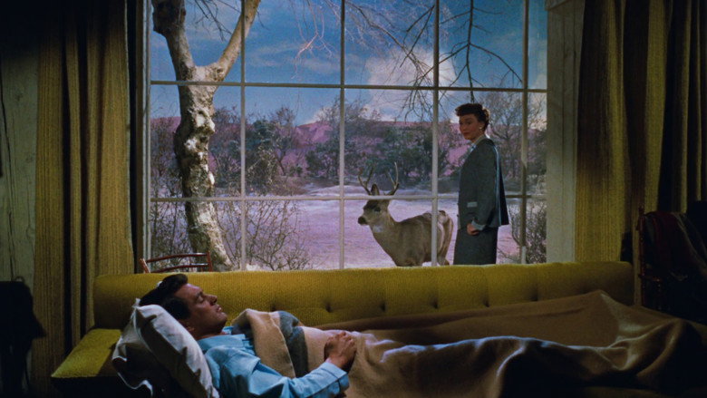 All That Heaven Allows backdrop 3