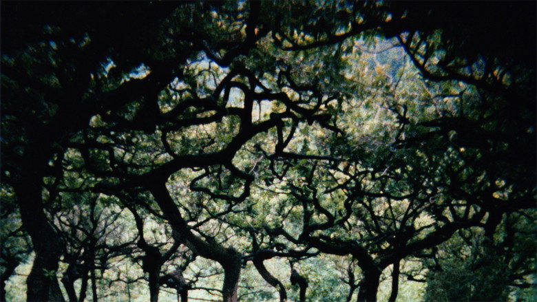 The Hedge Theater backdrop 2