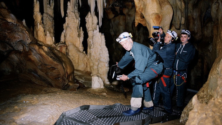 Cave of Forgotten Dreams backdrop 9