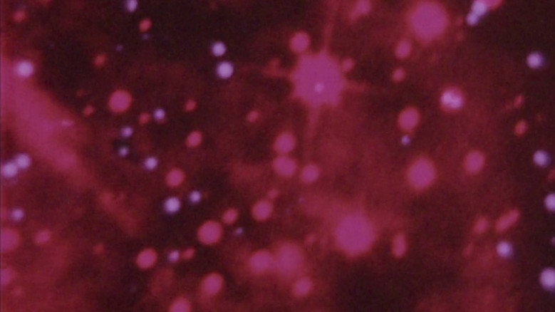 Harry Hooton backdrop 2