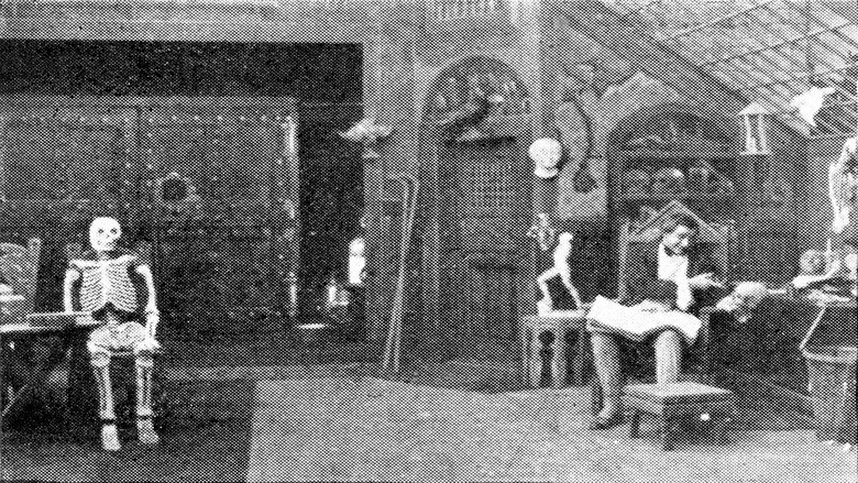 Frankenstein backdrop 6