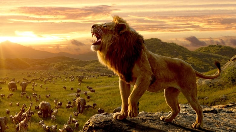 獅子王(2019)完整版高清-BT BLURAY《The Lion King.HD》流媒體電影在線香港 《480P|720P|1080P|4K》