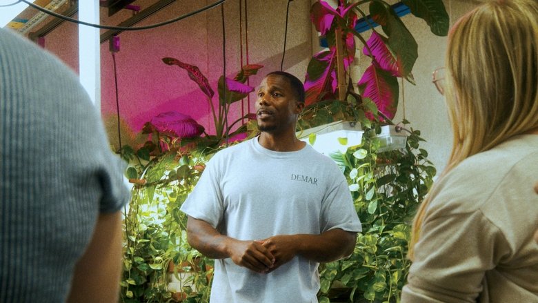 Show Them Who You Are