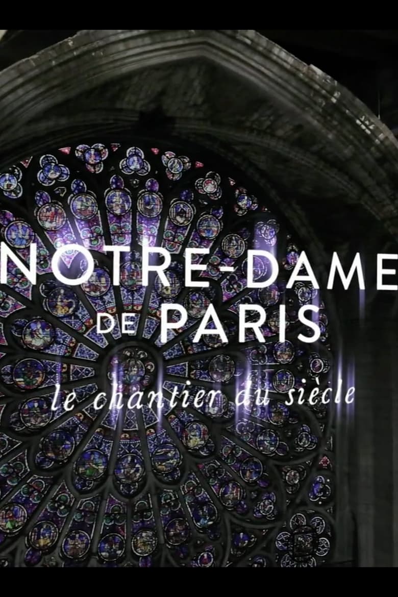 Serie streaming | Notre-Dame de Paris, le chantier du siècle en streaming