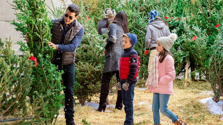 Christmas Next Door backdrop 6