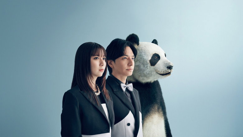 We Are Worse at Love Than Pandas backdrop 1
