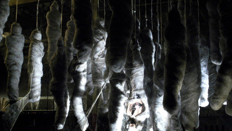 Webs backdrop 3