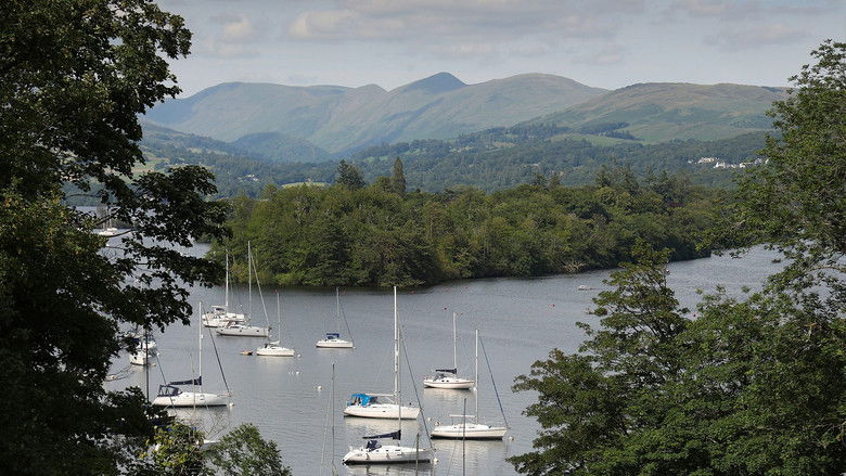 The Elephant in the Lake