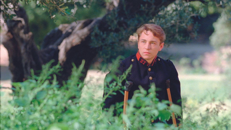 Renoir backdrop 8