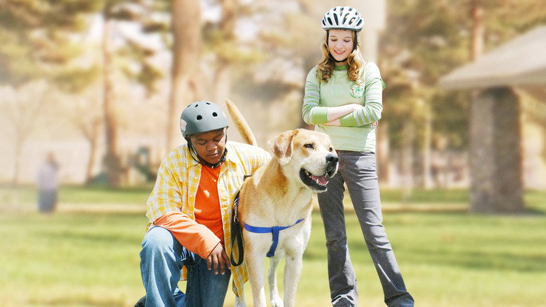 Life Is Ruff backdrop 4