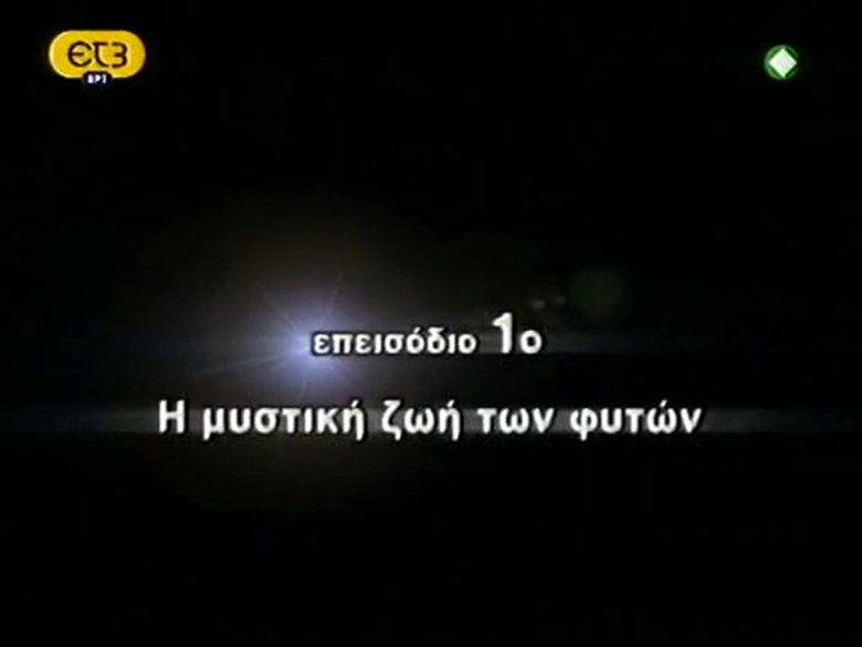 Episode 1