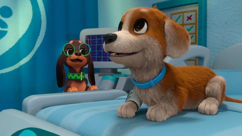 Pup Fiction / Night at the Pawspital