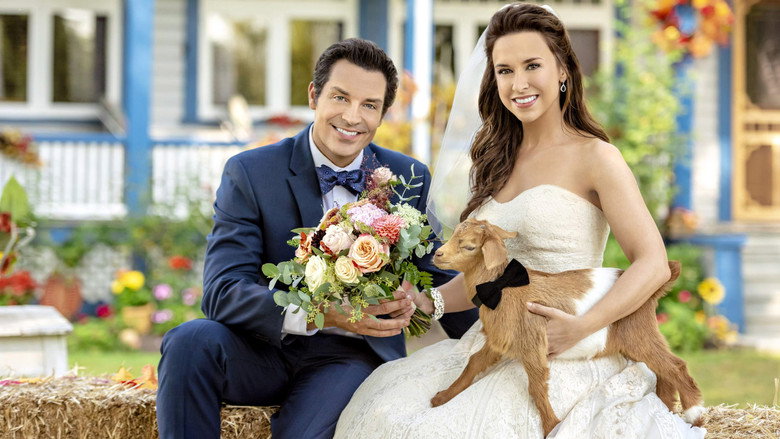 All of My Heart: The Wedding backdrop 7