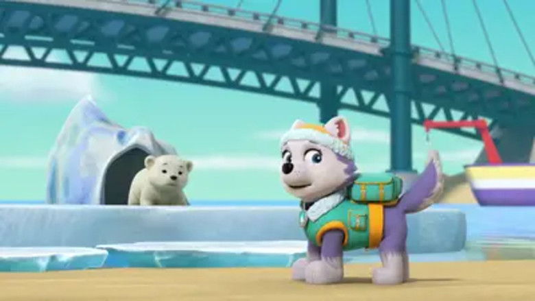 Pups Save a Windswept Polar Bear Cub