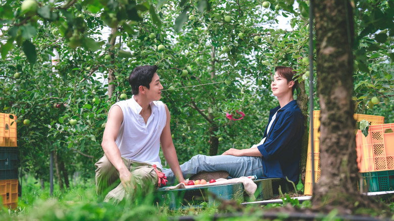 Love Tractor backdrop 3