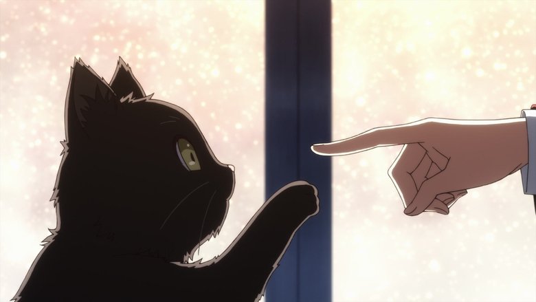 EX6 The Small World That Someone Wished For