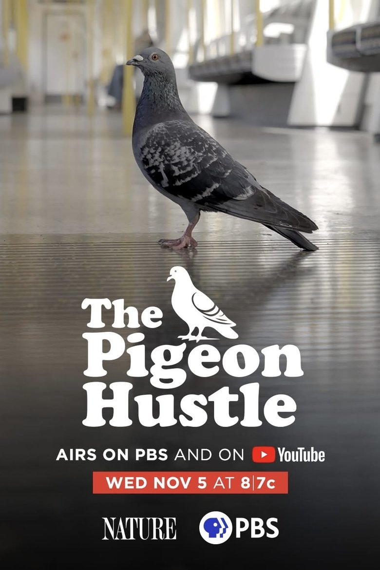 The Pigeon Hustle