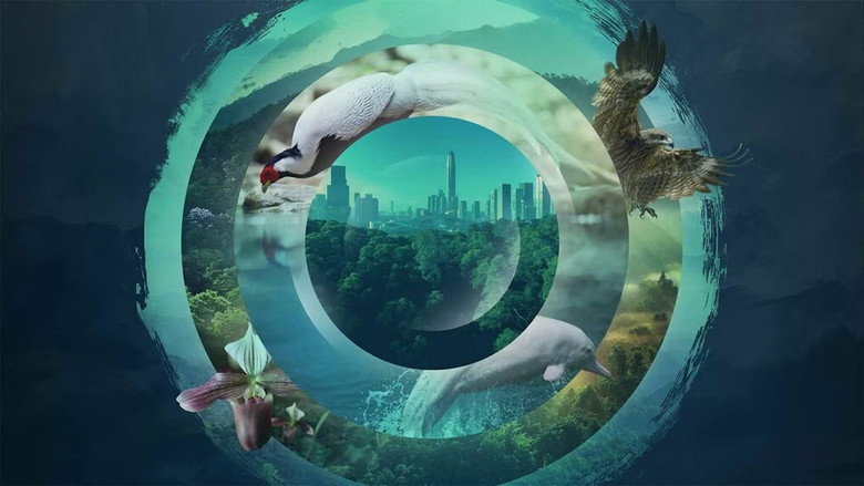 China's Wild Guangdong backdrop 1
