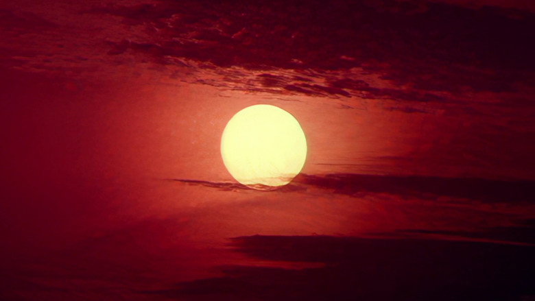 Thalapathi backdrop 7