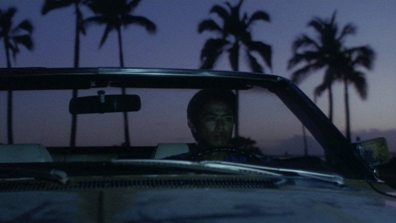 Hawaiian Dream backdrop 2
