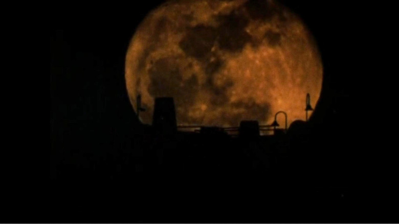 The Werewolf of Washington backdrop 3