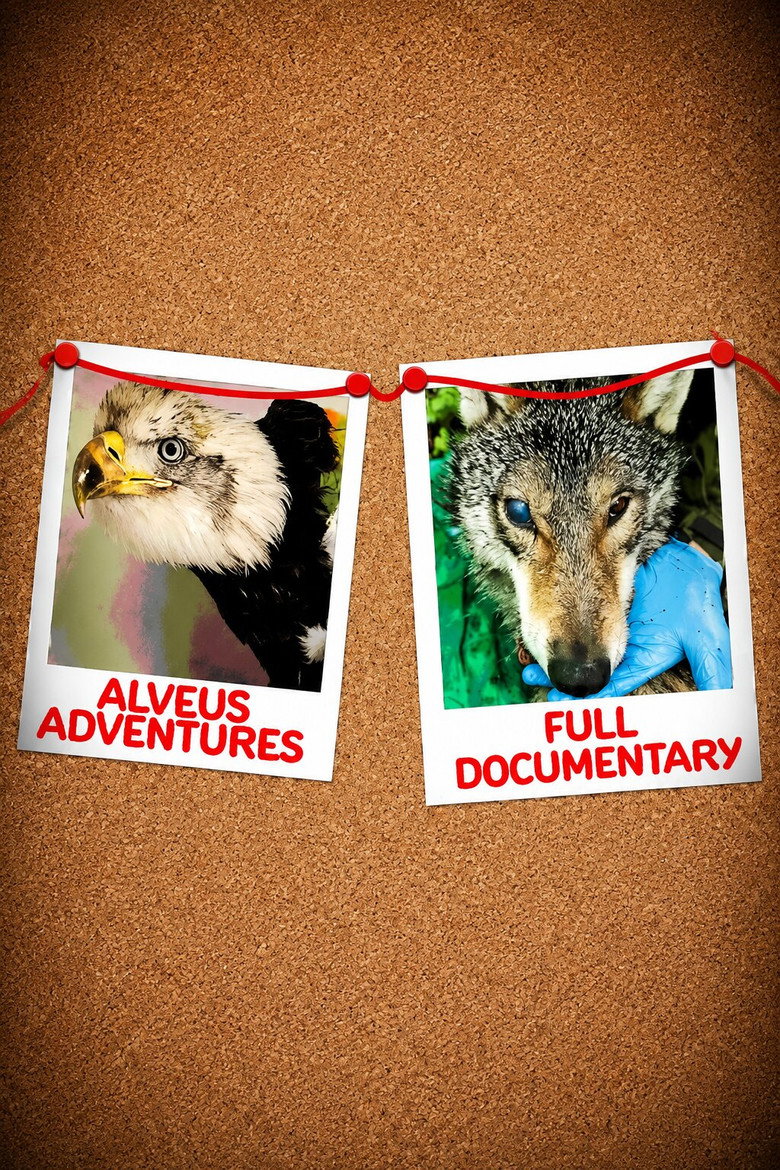 Alveus Adventures