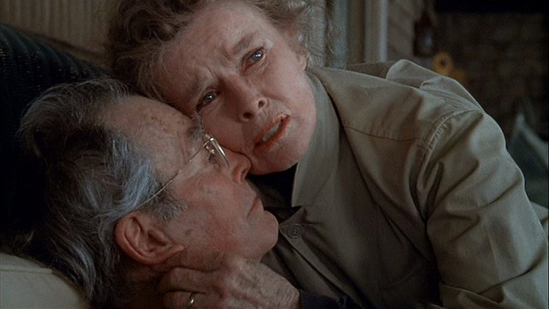 On Golden Pond backdrop 9