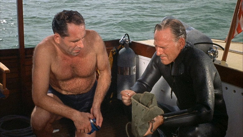 Flipper's Treasure
