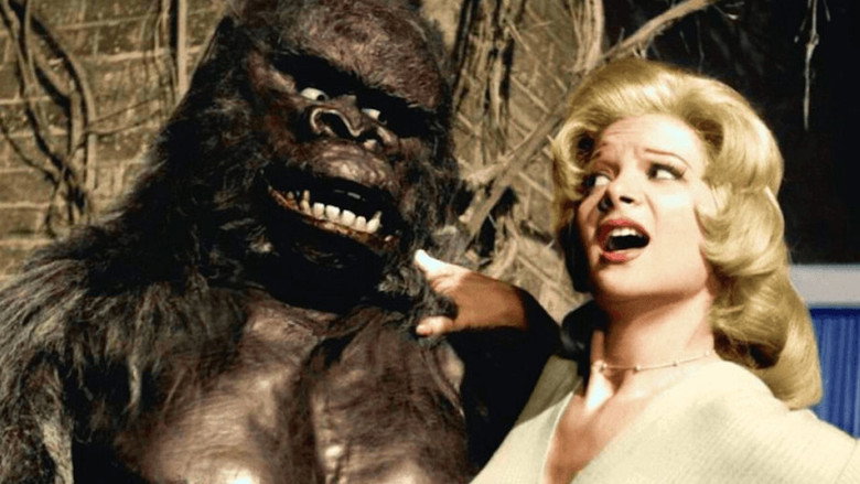 Konga backdrop 5