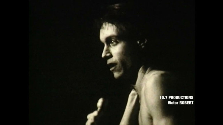 Tell Me Iggy backdrop 4