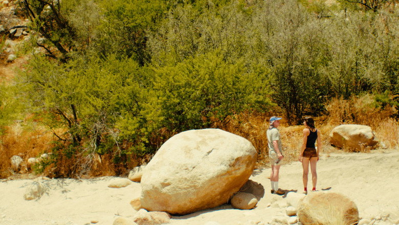 The Hedonist backdrop 2
