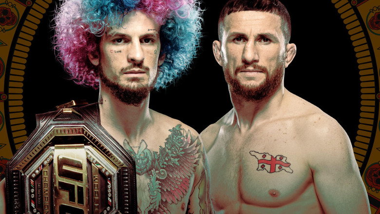 UFC 306: O'Malley vs. Dvalishvili backdrop 4