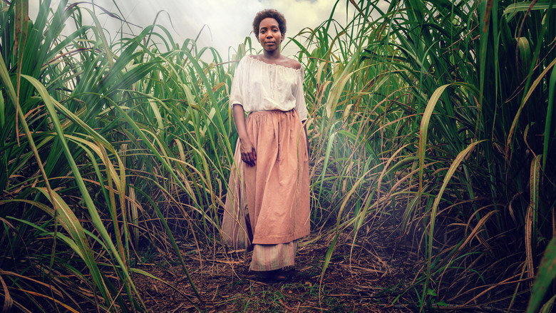 The Long Song backdrop 4