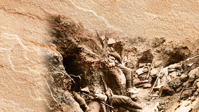 14-18 : les traces cachées