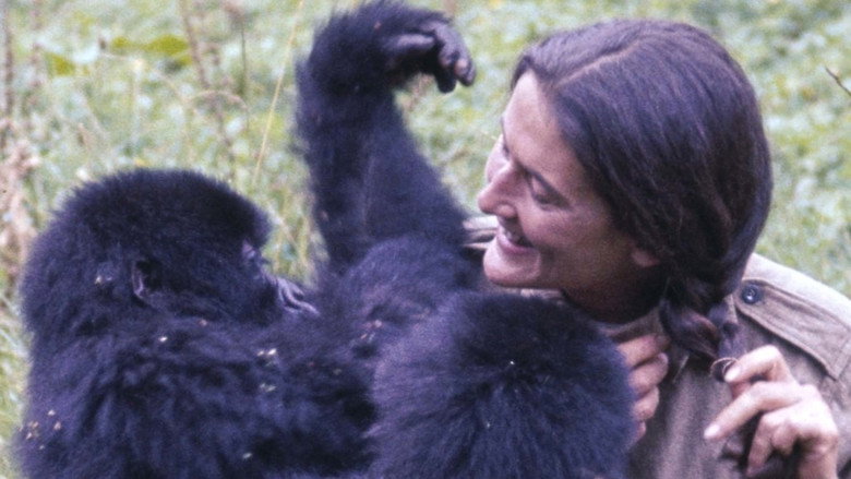 Dian Fossey: Ihr Leben für die Gorillas backdrop 2