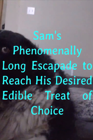 Sam's Phenomenally Long Escapade to Reach His Desired Edible Treat of Choice