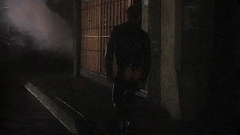 Shadows In The Night backdrop 4
