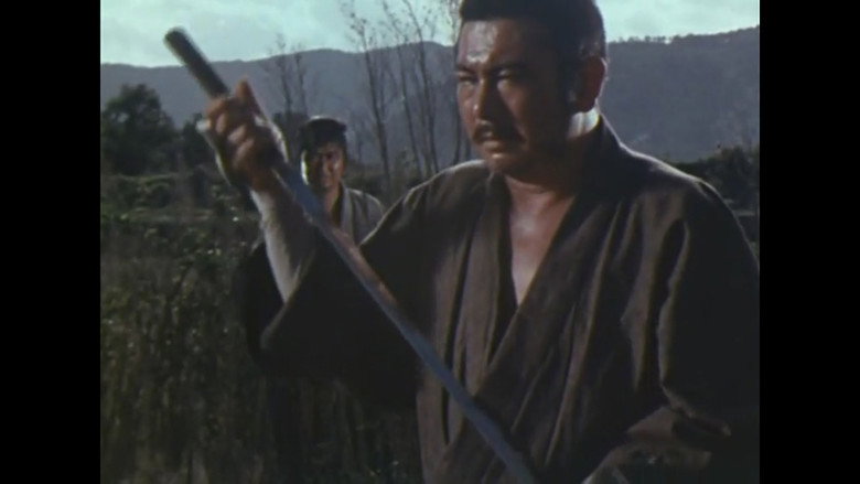 A Bird Lands On Ichi