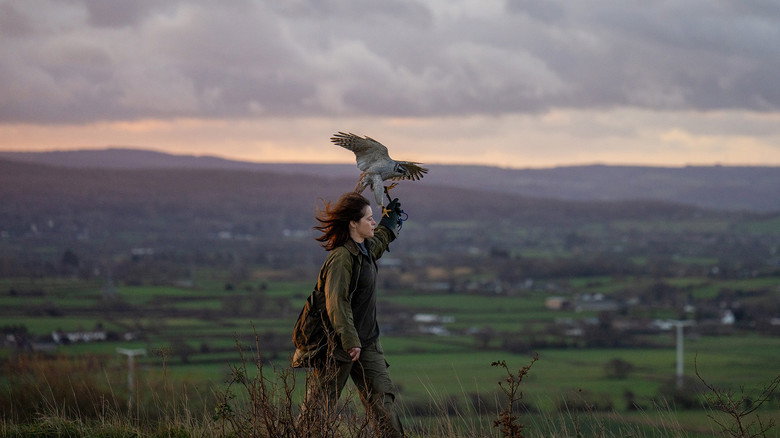 H Is for Hawk backdrop 6