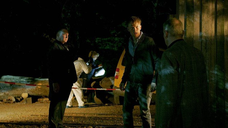 In the Light of the Night backdrop 6